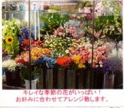 「山地生花店」　（神奈川県横浜市西区）の花屋店舗写真4